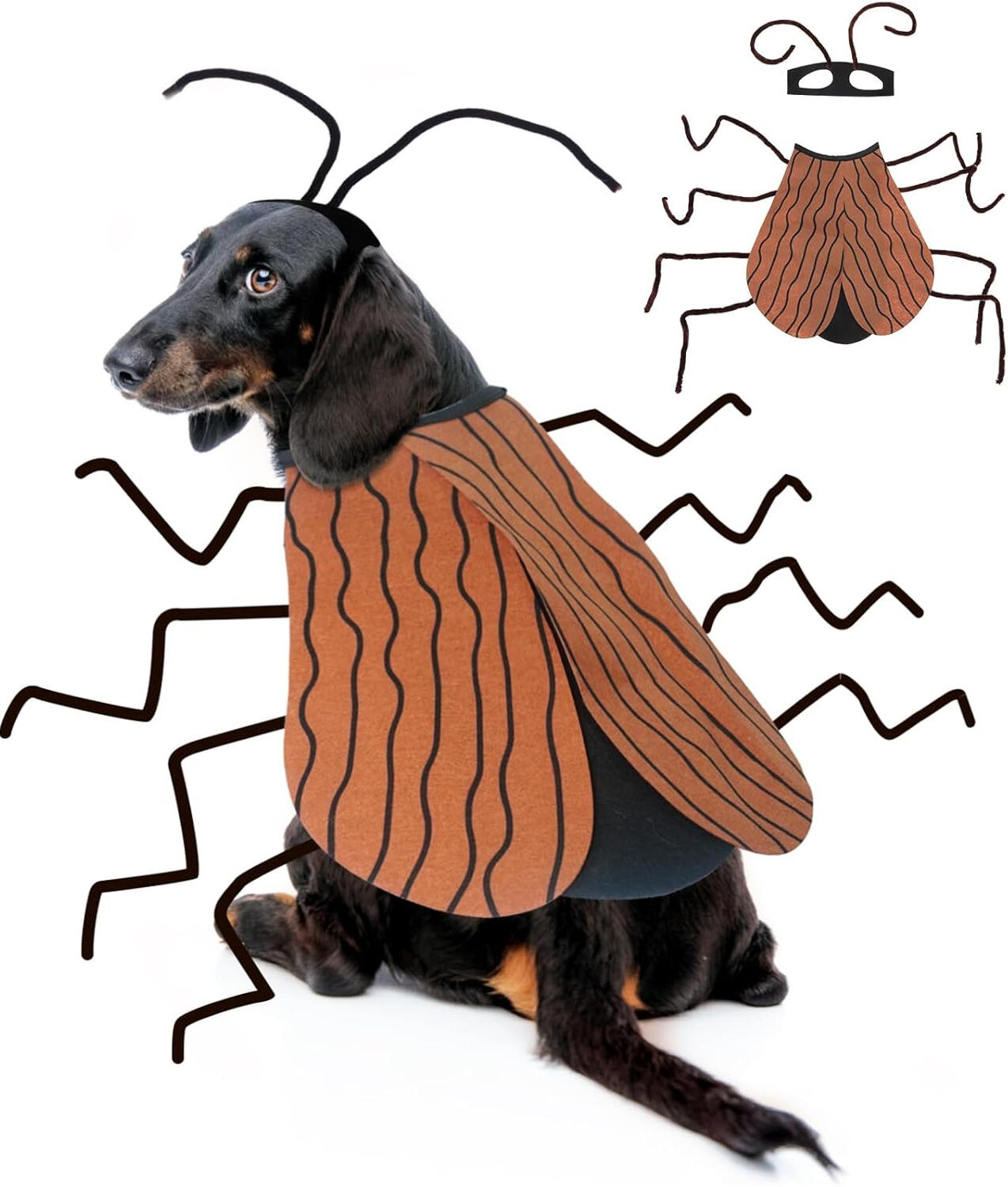 Unlock ultra-fast storage and reliable data transfers with the ACASIS 10Gbps Magnetic M.2 NVMe SSD Enclosure & USB-C Docking Station. Designed for creators, tech professionals, and power users, this versatile hub transforms your M.2 NVMe SSD into a high-sp