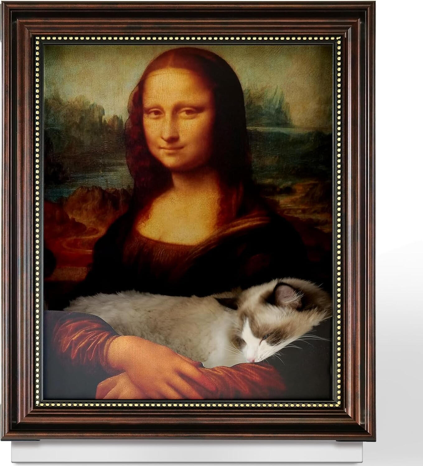 Unlock ultra-fast storage and reliable data transfers with the ACASIS 10Gbps Magnetic M.2 NVMe SSD Enclosure & USB-C Docking Station. Designed for creators, tech professionals, and power users, this versatile hub transforms your M.2 NVMe SSD into a high-sp